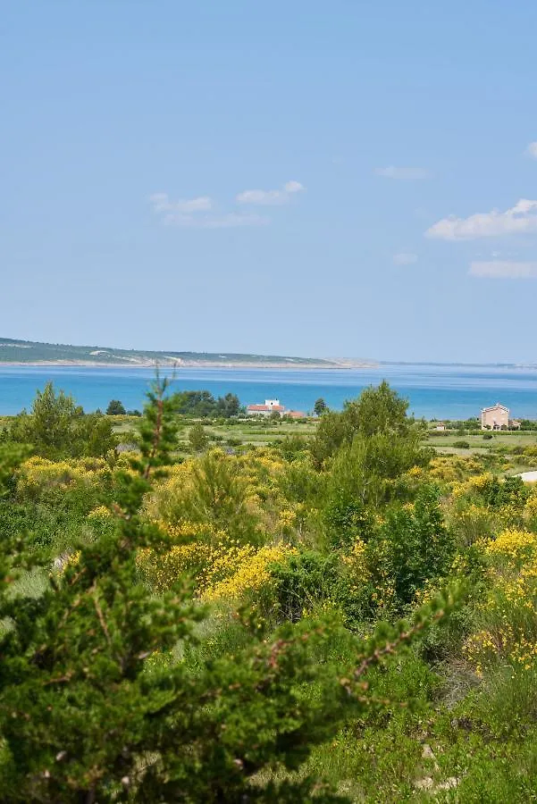 Apartment Ljubica Ljubac  Ljubac (Zadar)